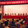 劉燕華副部長出席中國醫(yī)療器械產業(yè)技術創(chuàng)新戰(zhàn)略聯(lián)盟成立大會